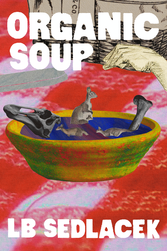 Organic Soup, by LB Sedlacek