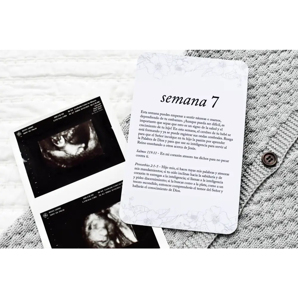 Spanish Pregnancy Prayer Cards - Card Set Only - Prayer Cards