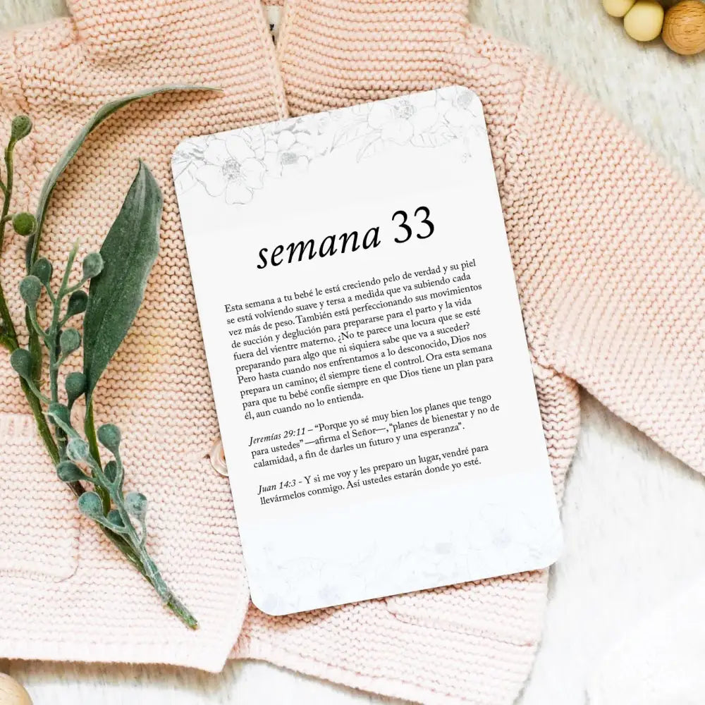Spanish Pregnancy Prayer Cards - Card Set Only - Prayer Cards