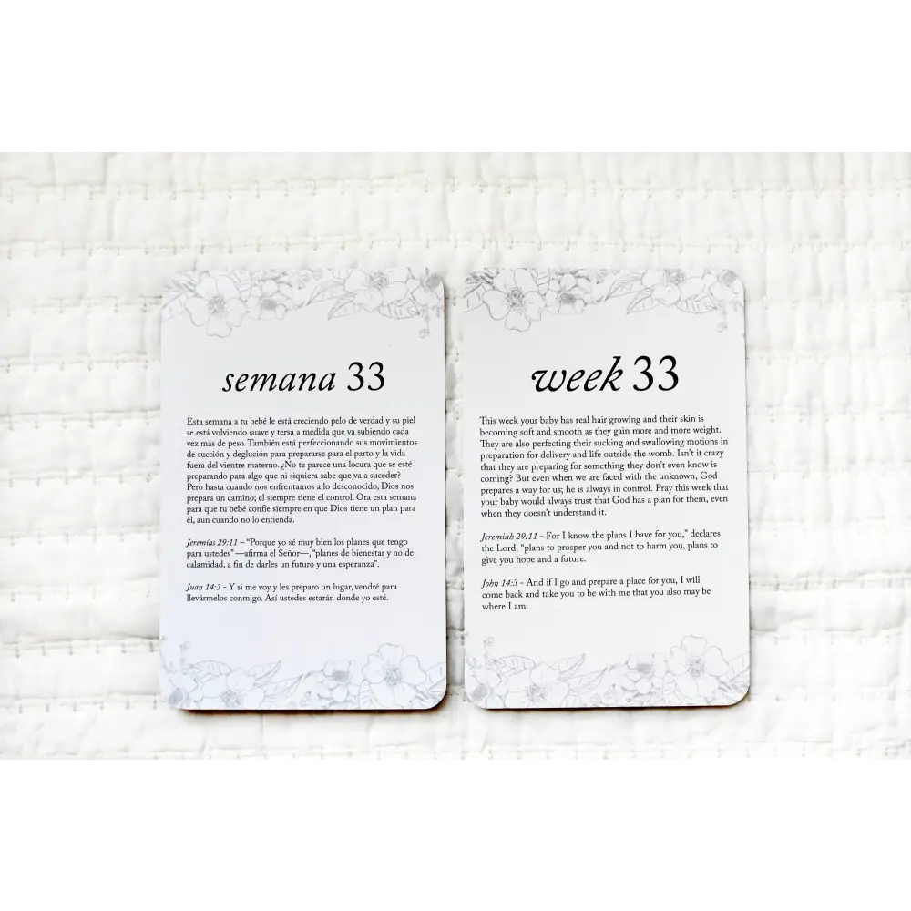 Spanish Pregnancy Prayer Cards - Card Set Only - Prayer Cards
