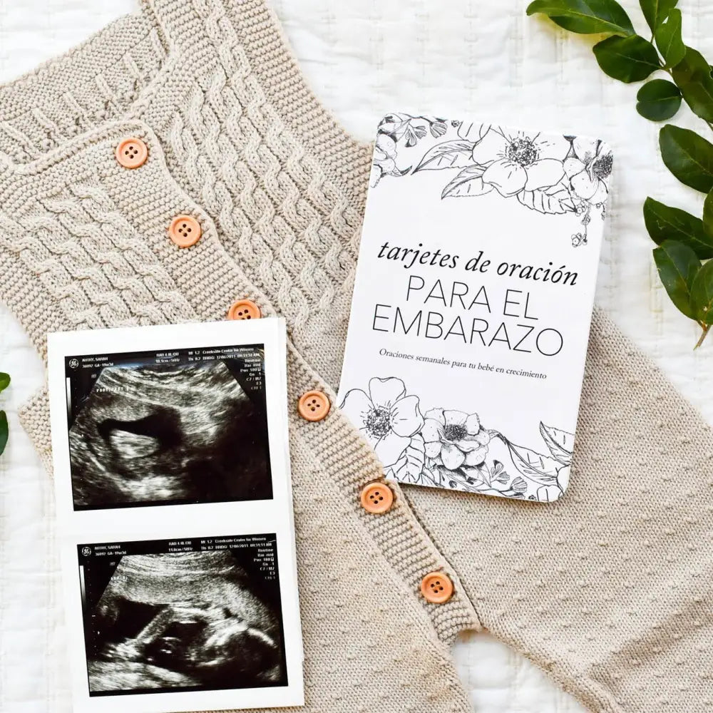 Spanish Pregnancy Prayer Cards - Card Set Only - Prayer Cards
