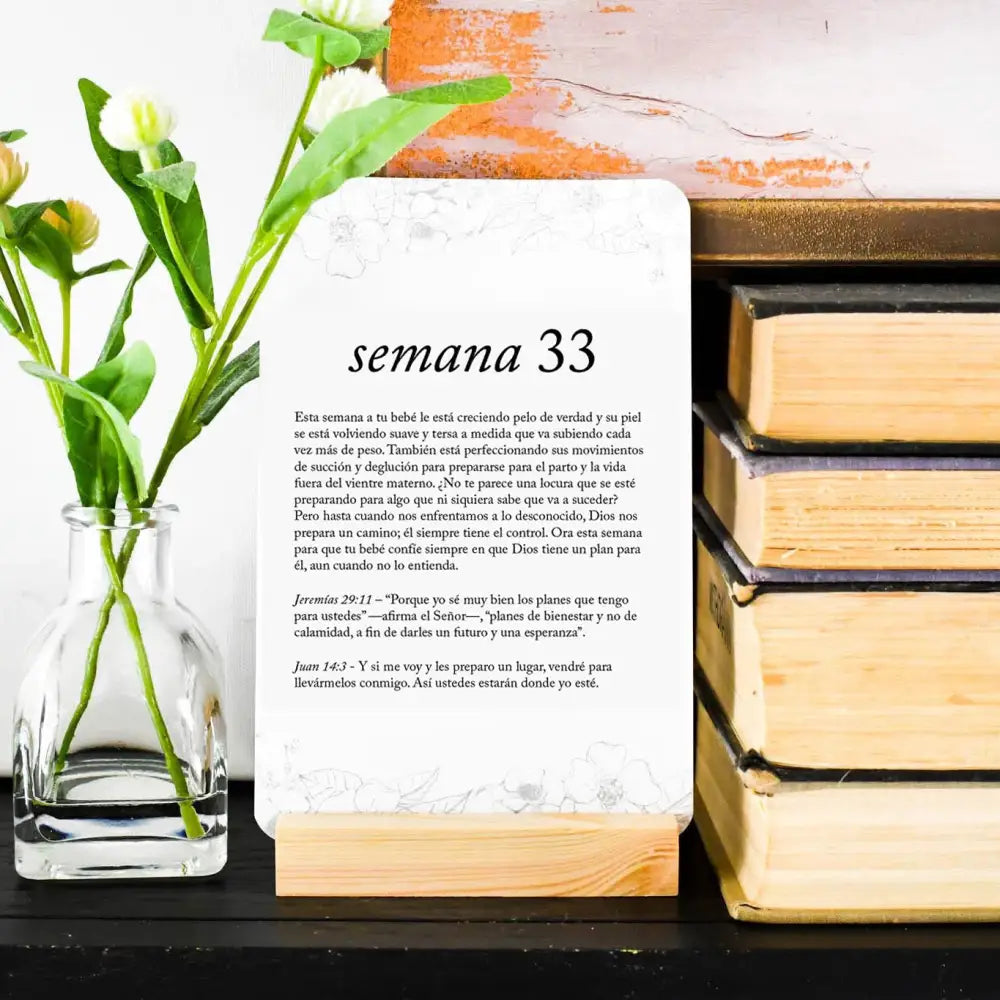 Spanish Pregnancy Prayer Cards - Card Set Only - Prayer Cards