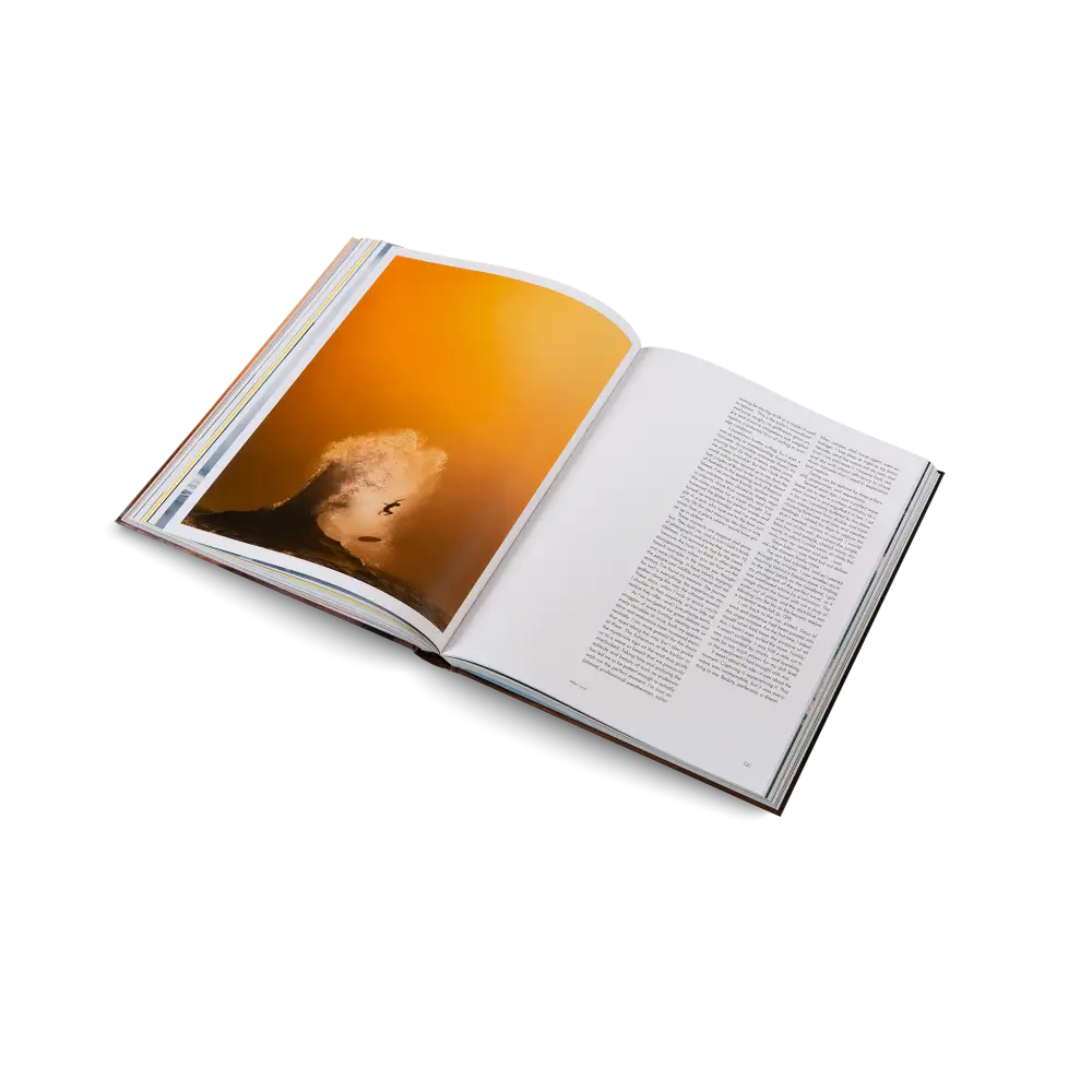 Surf Porn Book