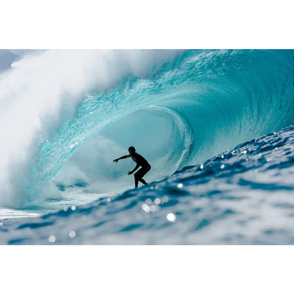 Surf Porn Book