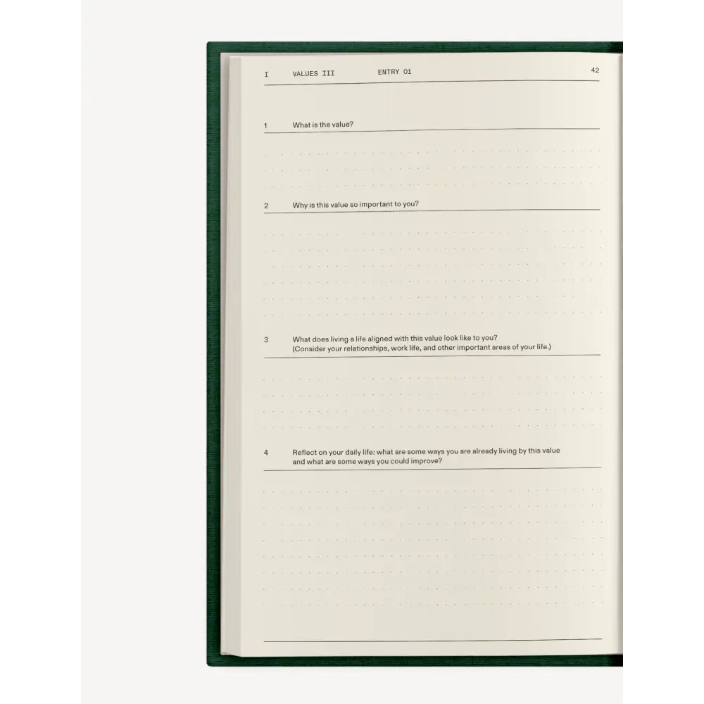 The Field Guide for Depression Notebook