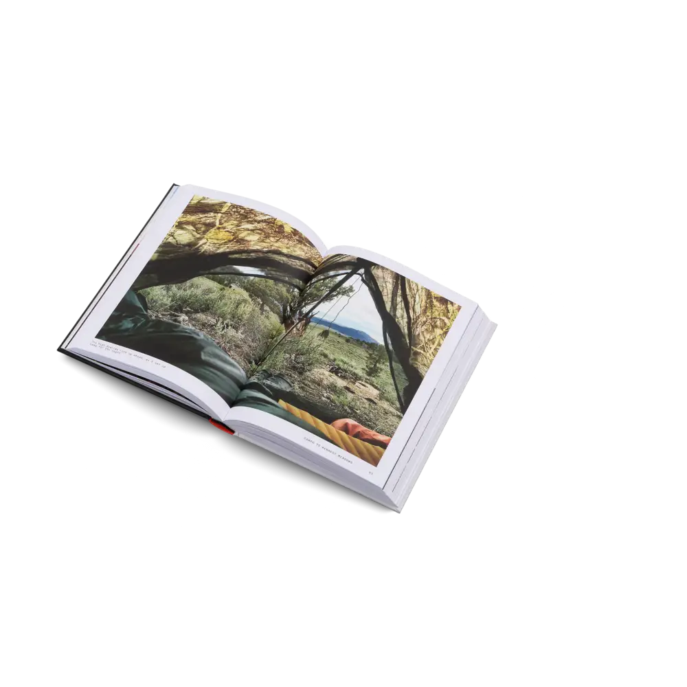 The Great Alone Book