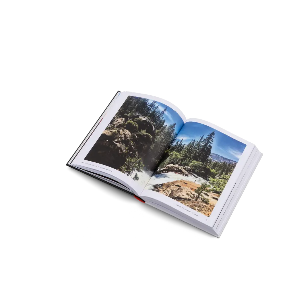 The Great Alone Book