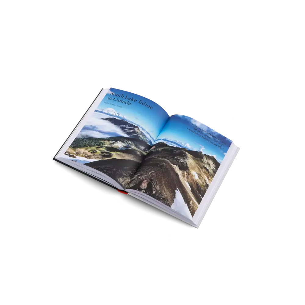 The Great Alone Book
