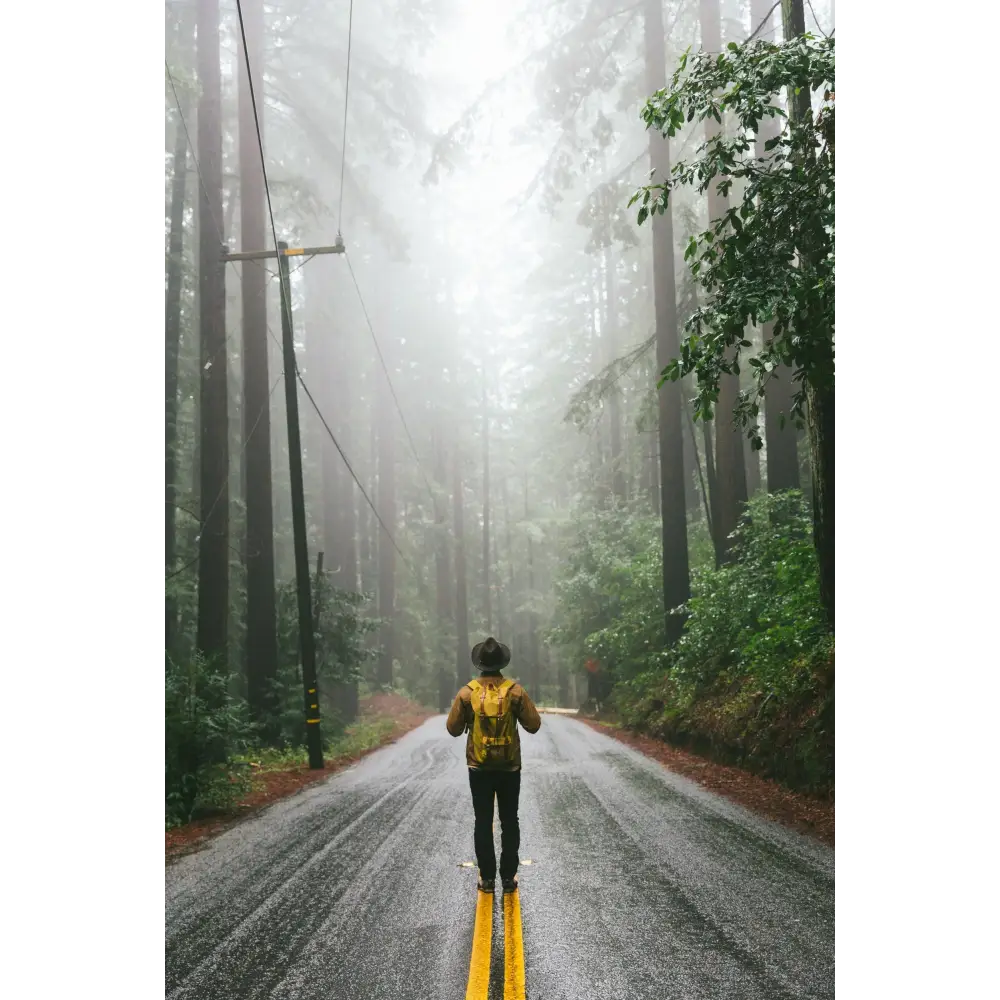 The Great American Road Trip Book