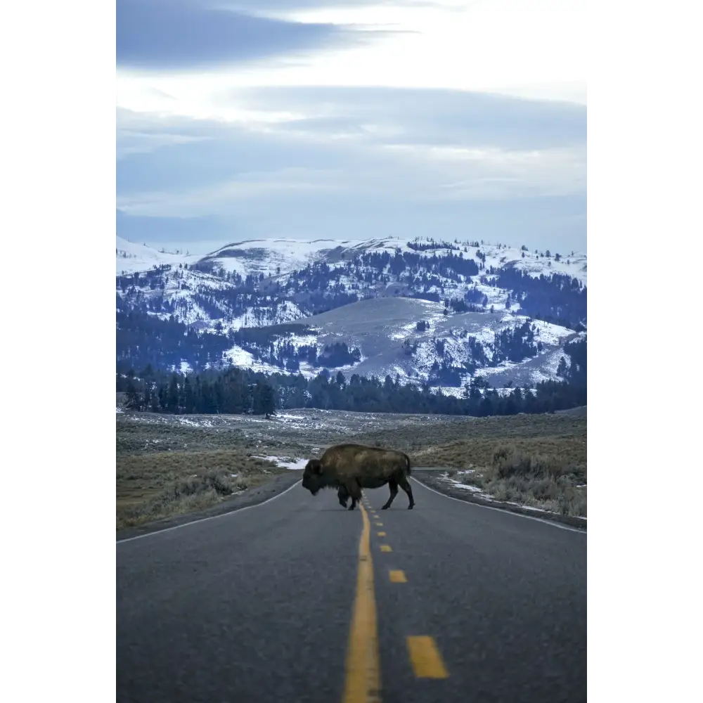 The Great American Road Trip Book