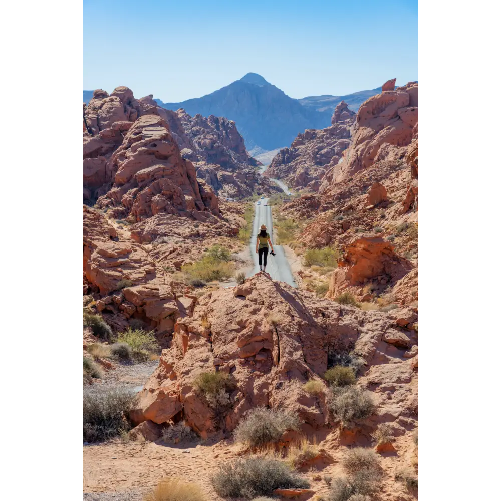 The Great American Road Trip Book