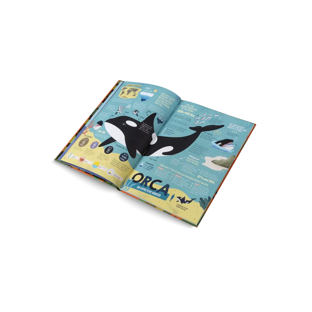 The Hunters Book