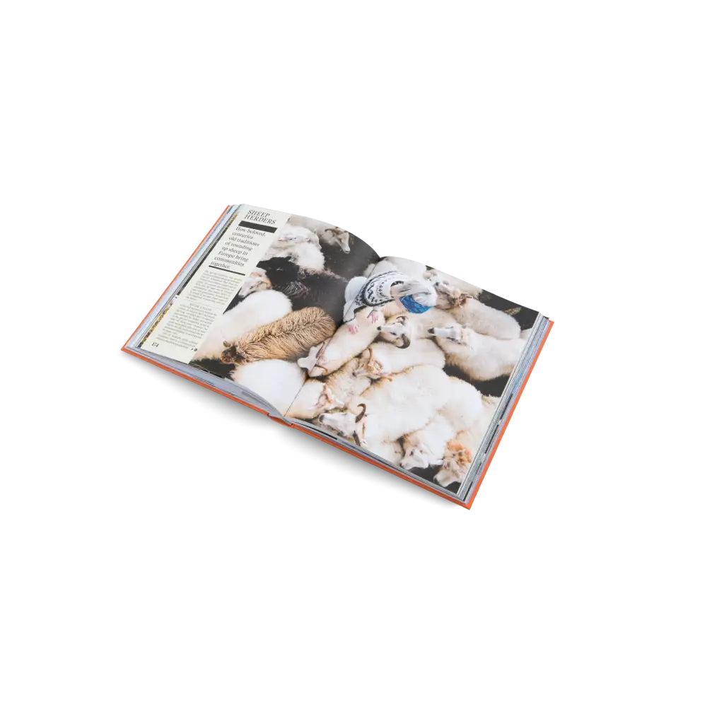 The New Traditional Book