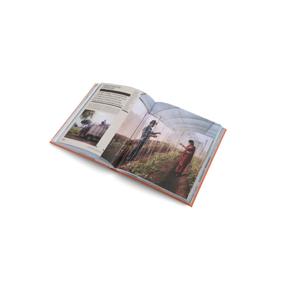 The New Traditional Book