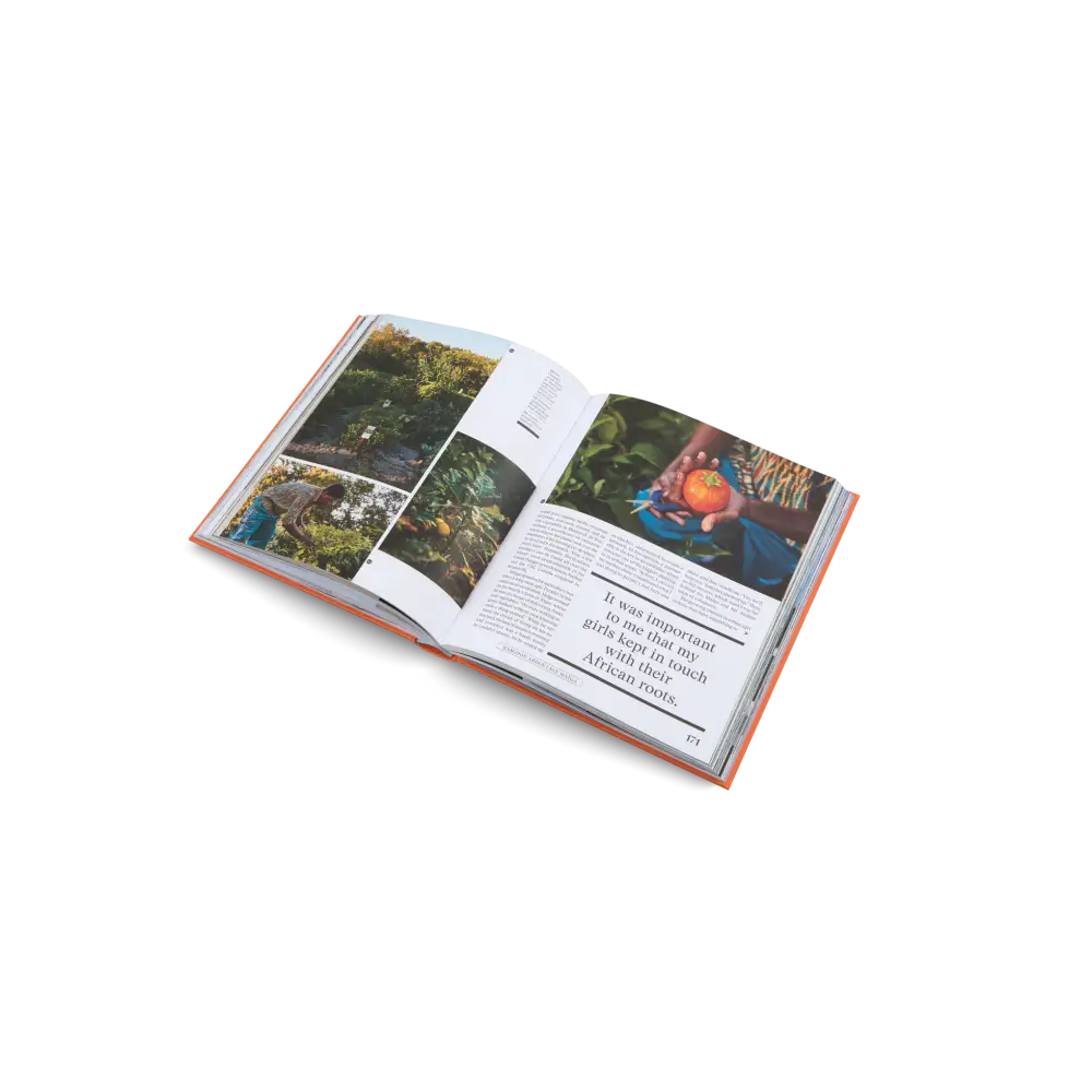 The New Traditional Book
