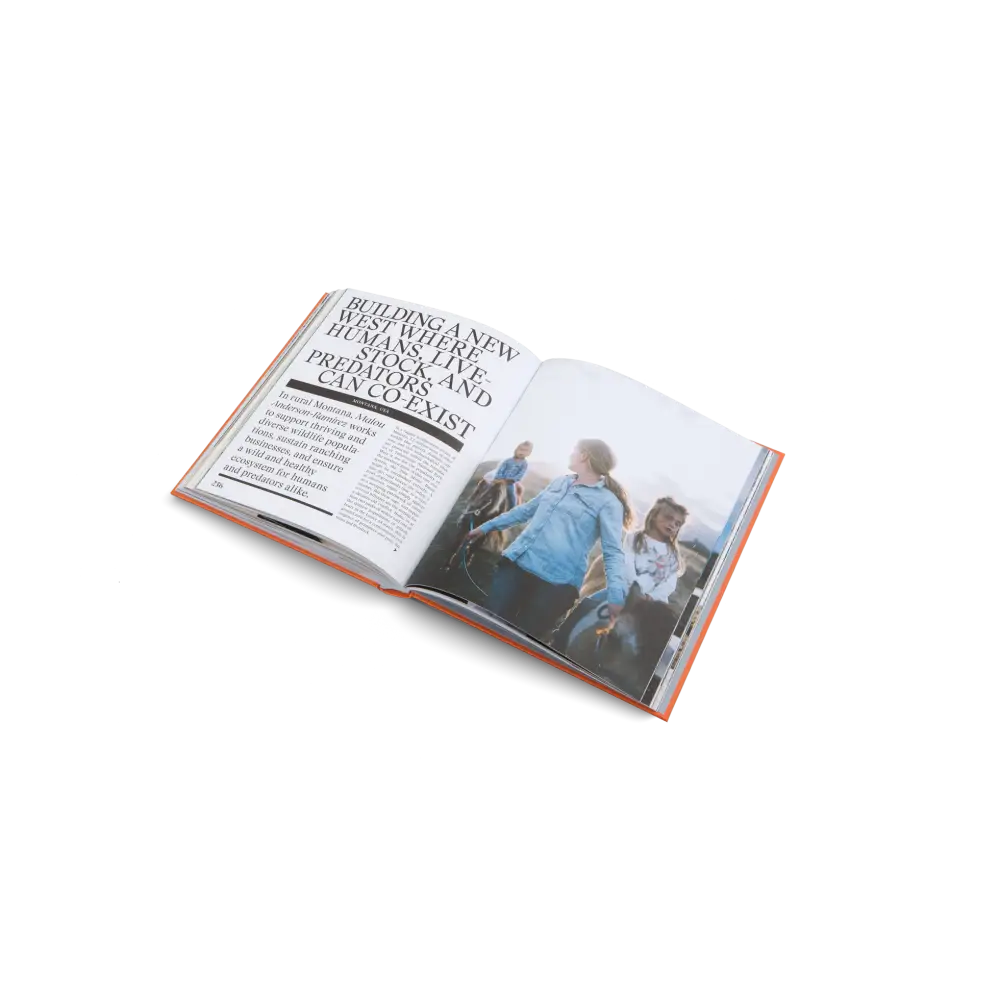 The New Traditional Book