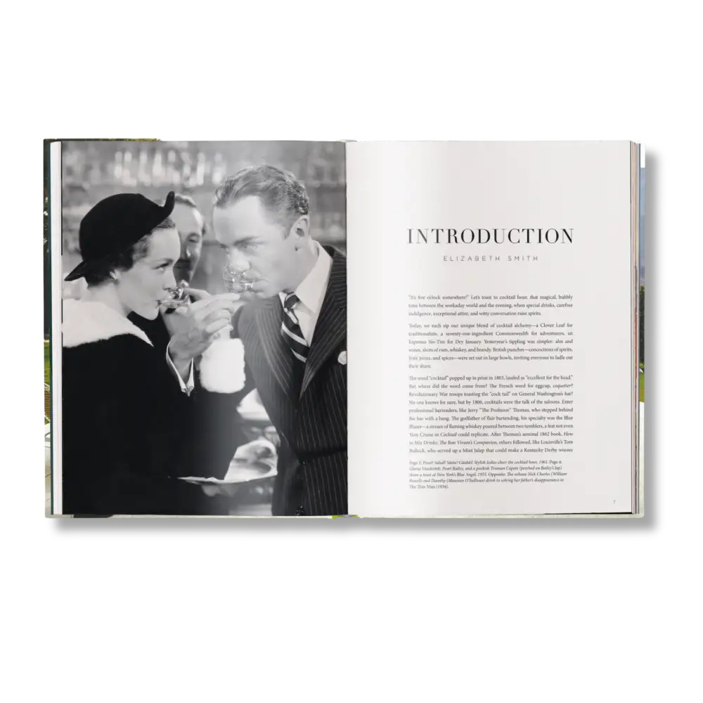 The Stylish Life: Cocktail Parties Book