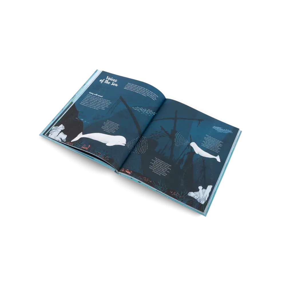 The World of Whales Book
