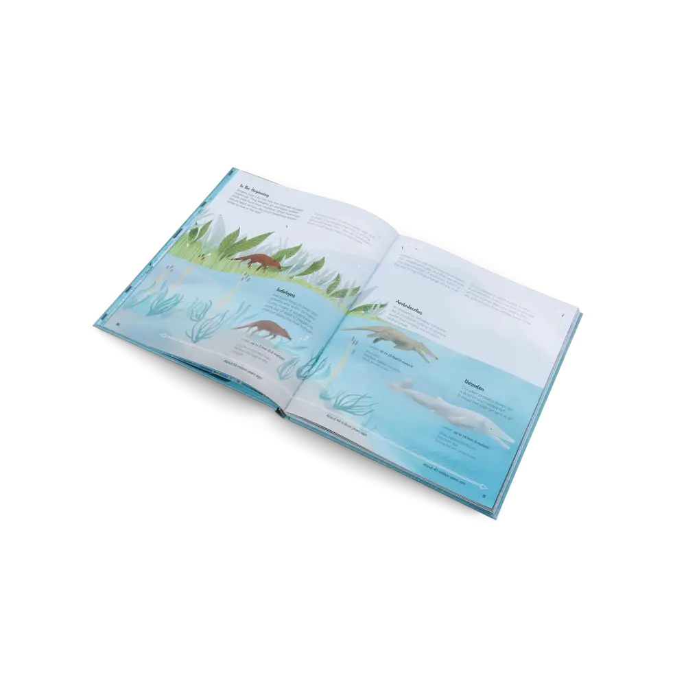 The World of Whales Book