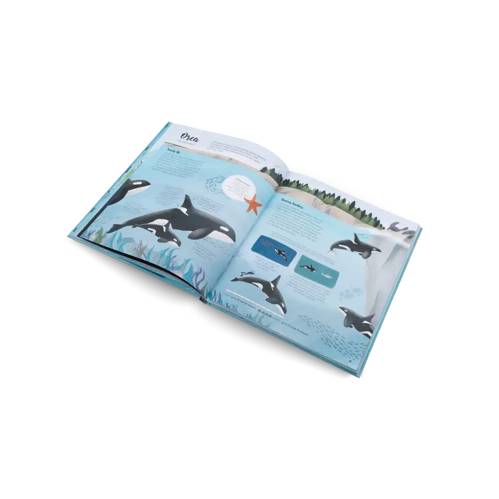 The World of Whales Book