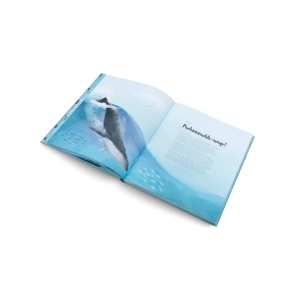 The World of Whales Book
