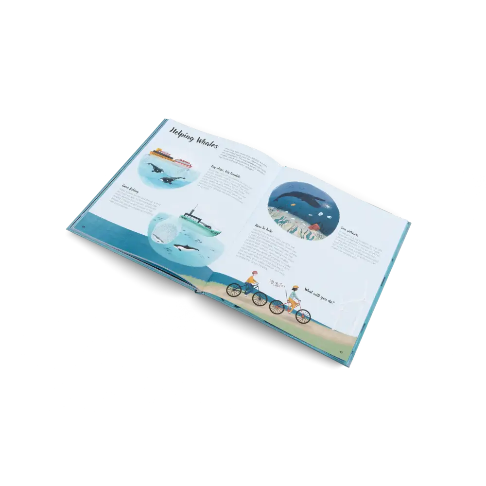 The World of Whales Book