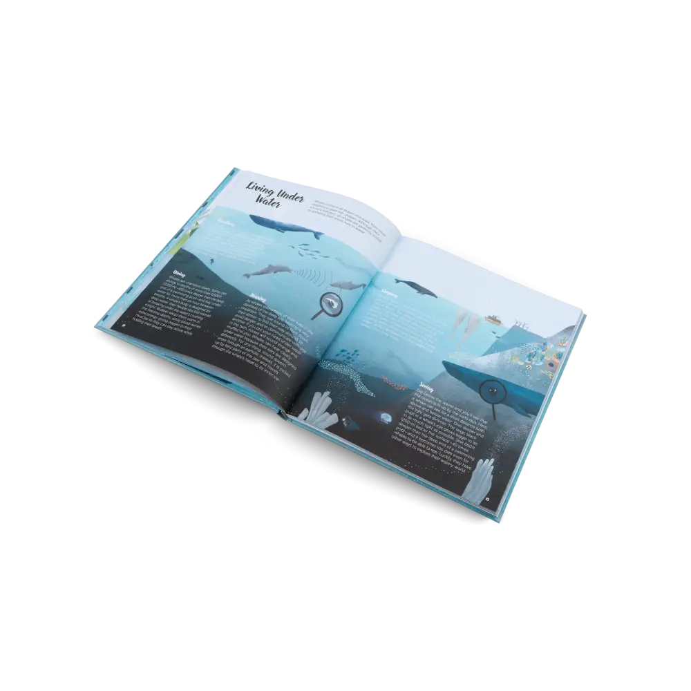 The World of Whales Book