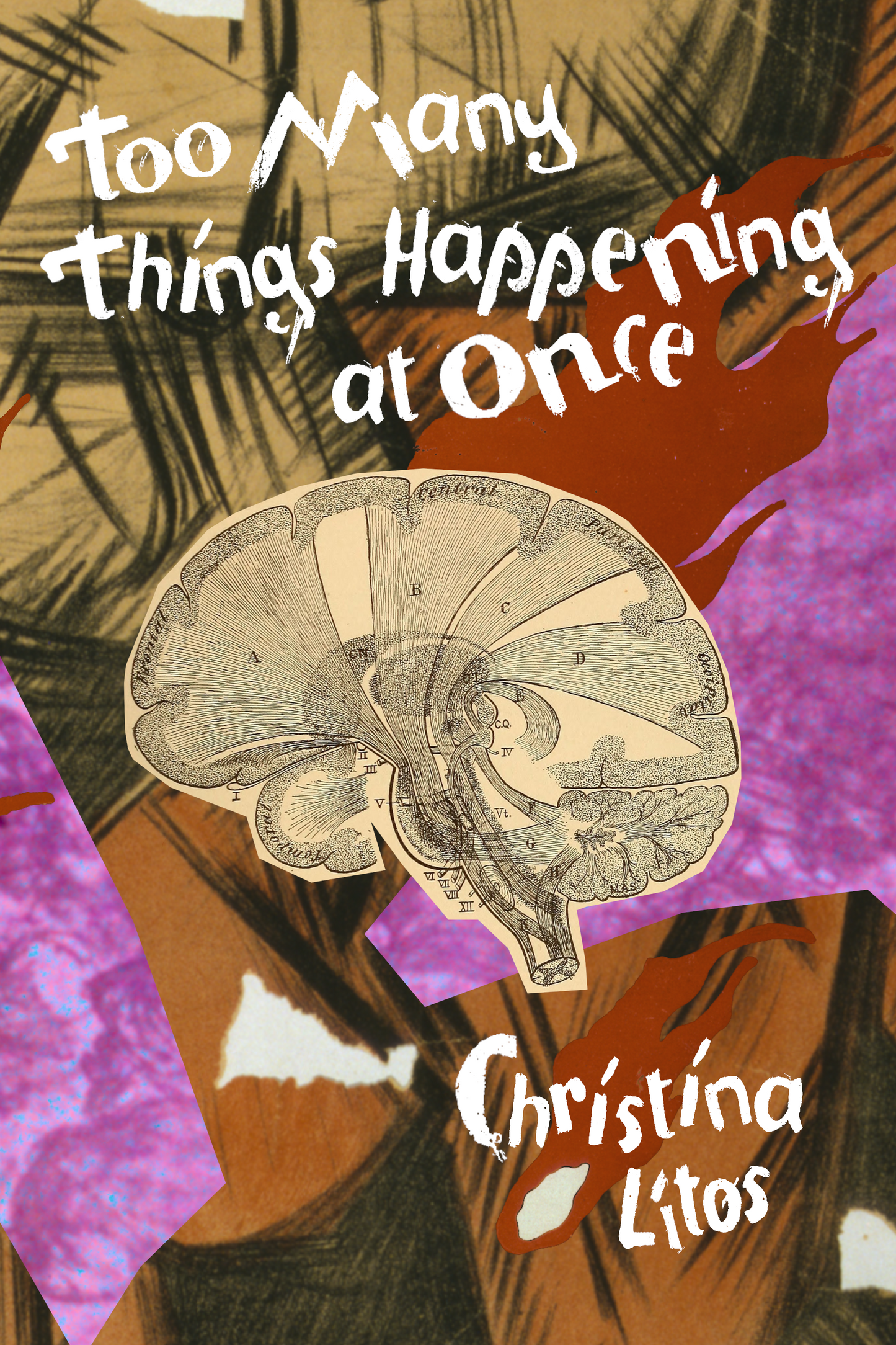 Too Many Things Happening at Once, by Christina Litos
