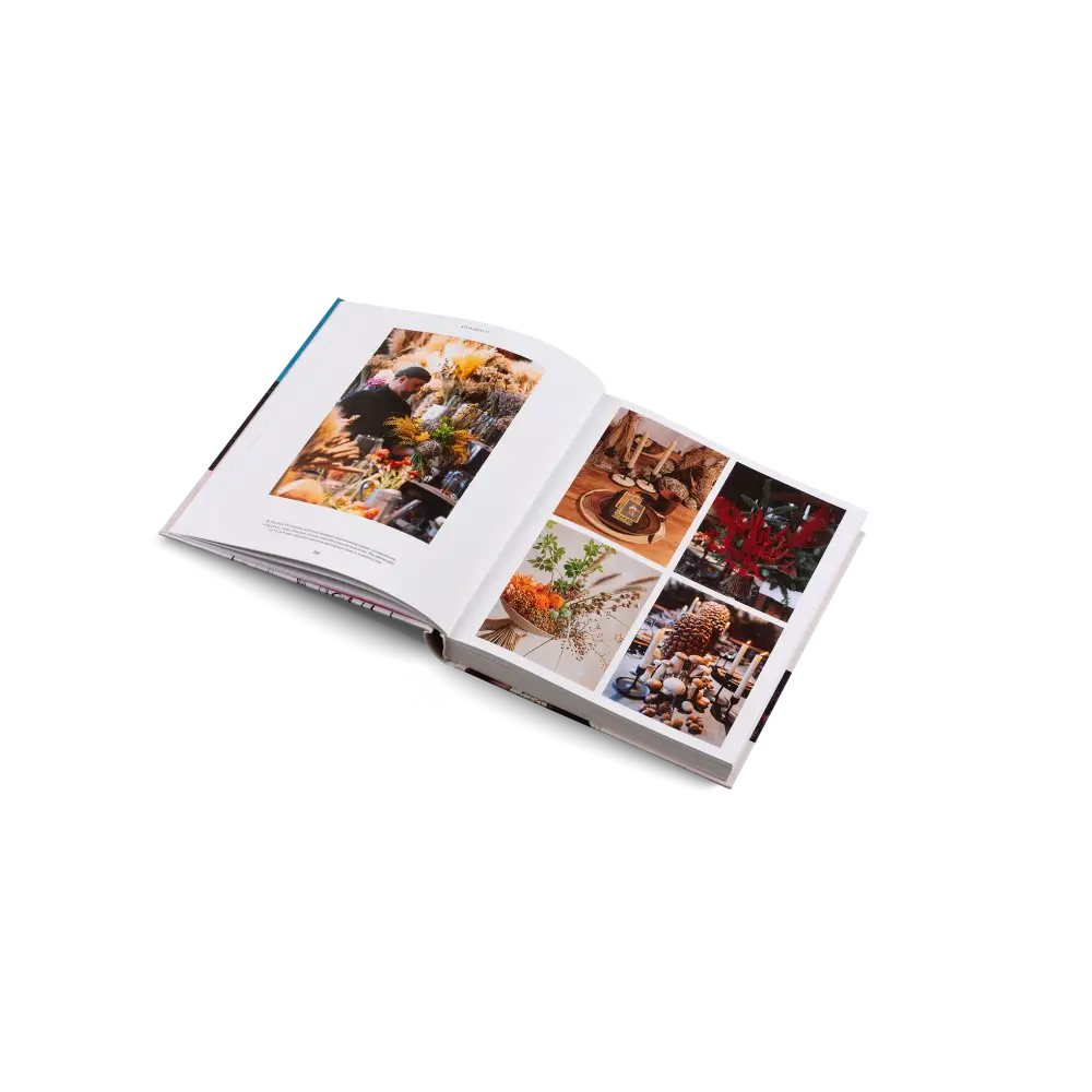 Ukraine Rising Book
