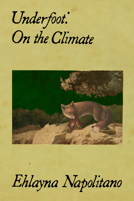 Underfoot: On the Climate, by Ehlayna Napolitano