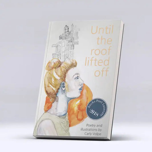 Until the roof lifted Books