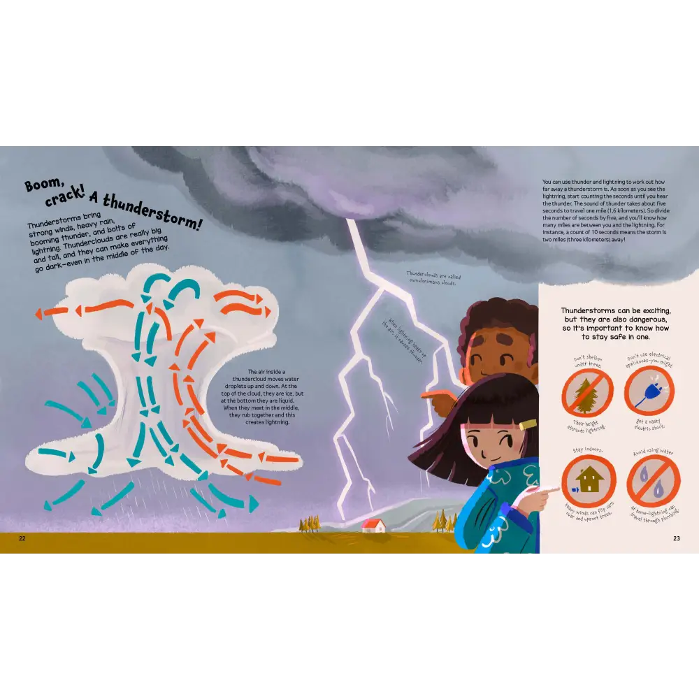 Whatever the Weather Book