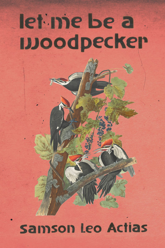 let me be a woodpecker, by Samson Leo Actias